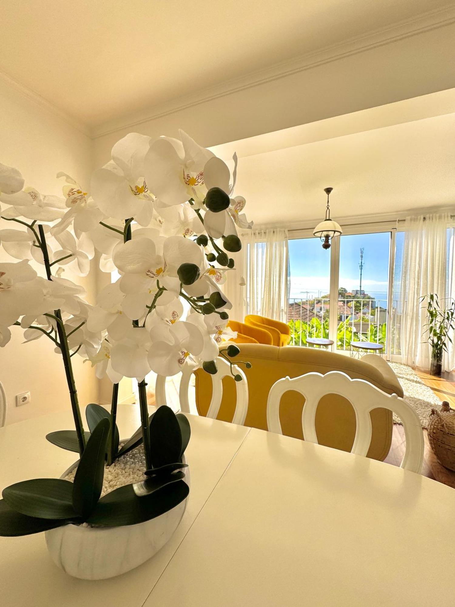 A Velha Casa Caboz Daire Ponta do Sol  Dış mekan fotoğraf
